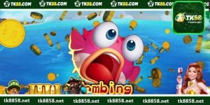 Bombing Fishing