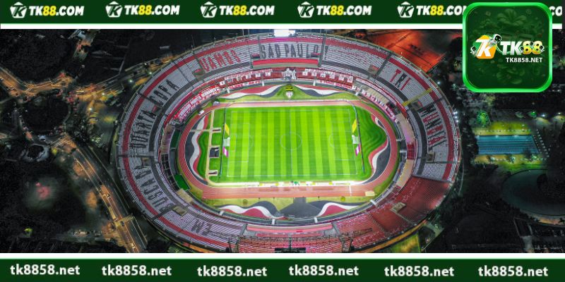 Tìm hiểu thông tin về kèo cá cược sbobet