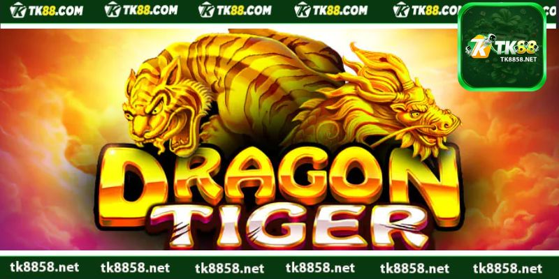 Các nguyên tắc vàng trong cách chơi rồng hổ