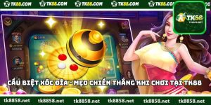 Cầu Biệt Xóc Đĩa