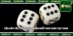 Cầu Gãy Tài Xỉu