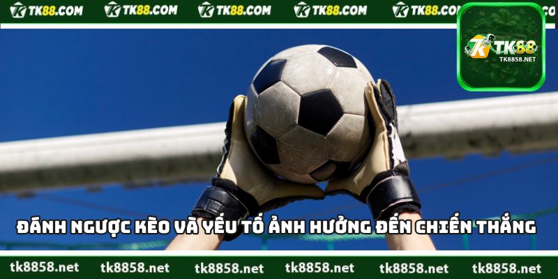 Đánh Ngược Kèo